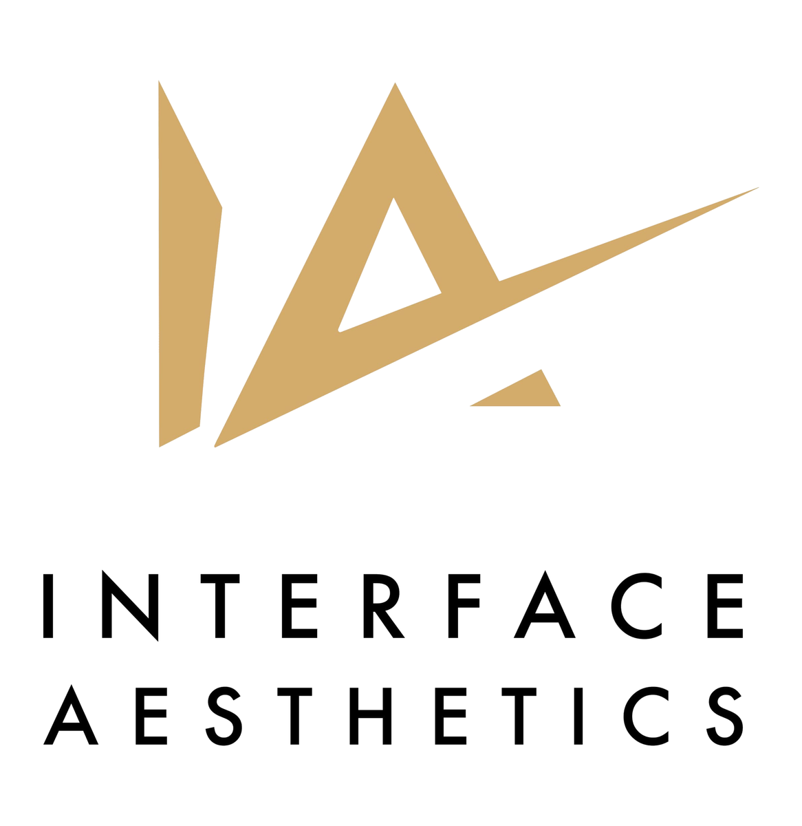 Interface Aesthetics